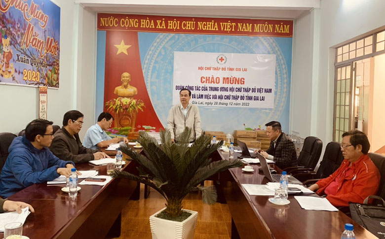 Trung ương Hội Chữ thập đỏ Việt Nam làm việc với Hội Chữ thập đỏ tỉnh Gia Lai kiểm tra tiến độ Phong trào “Tết Nhân ái”