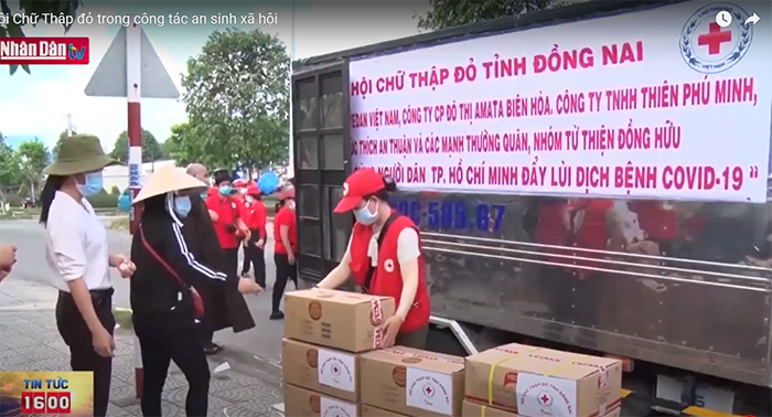 Video: Vai trò Hội Chữ Thập đỏ trong công tác an sinh xã hội