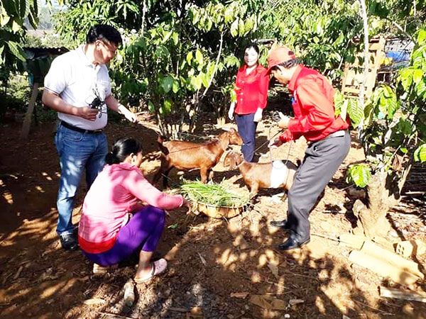Lâm Đồng: Những mô hình nhân đạo góp phần xây dựng nông thôn mới