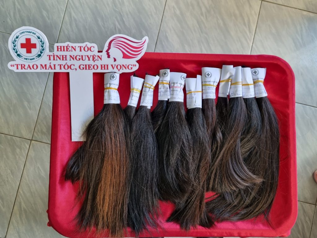 HỘI CHỮ THẬP ĐỎ VIỆT NAM