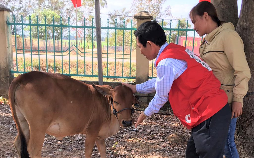 HỘI CHỮ THẬP ĐỎ VIỆT NAM