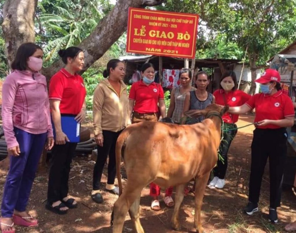 HỘI CHỮ THẬP ĐỎ VIỆT NAM