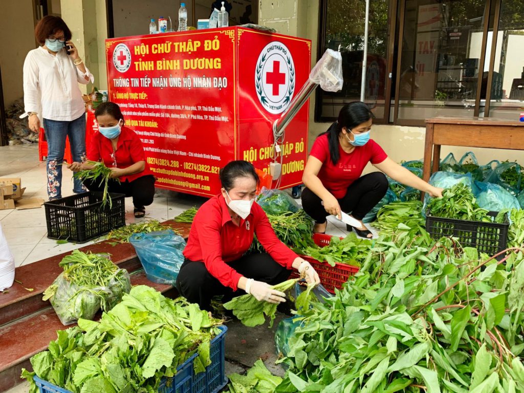 HỘI CHỮ THẬP ĐỎ VIỆT NAM