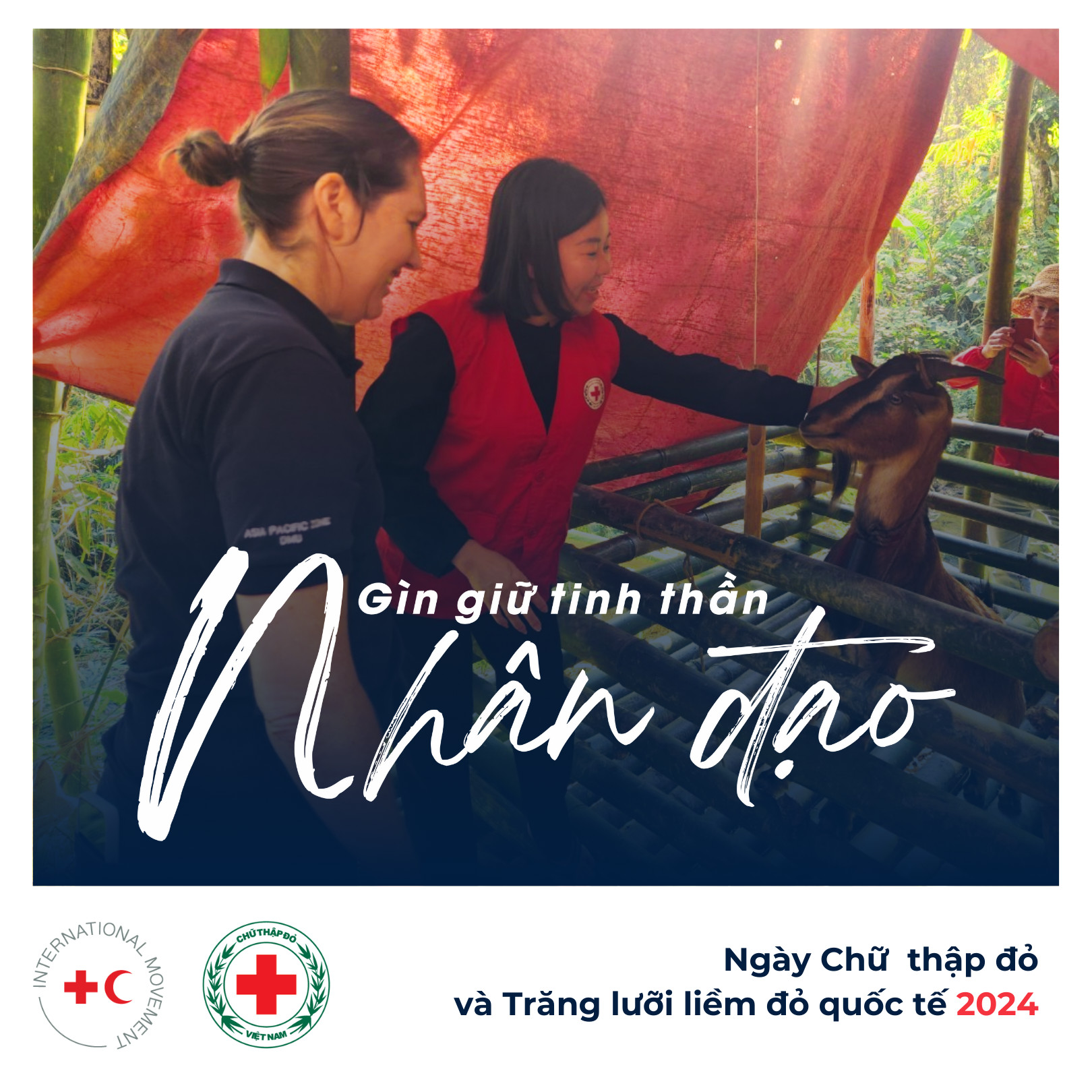 HỘI CHỮ THẬP ĐỎ VIỆT NAM