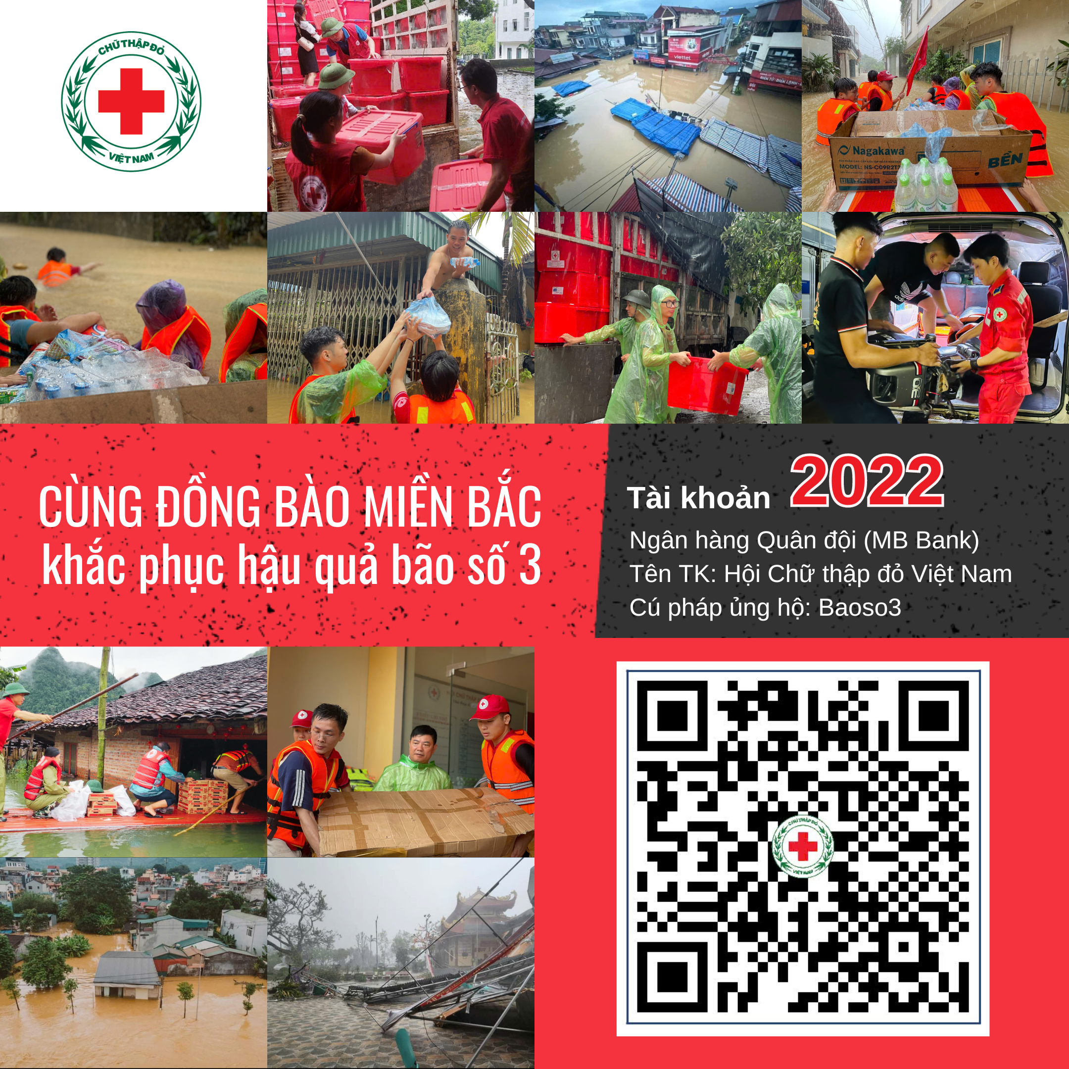 HỘI CHỮ THẬP ĐỎ VIỆT NAM