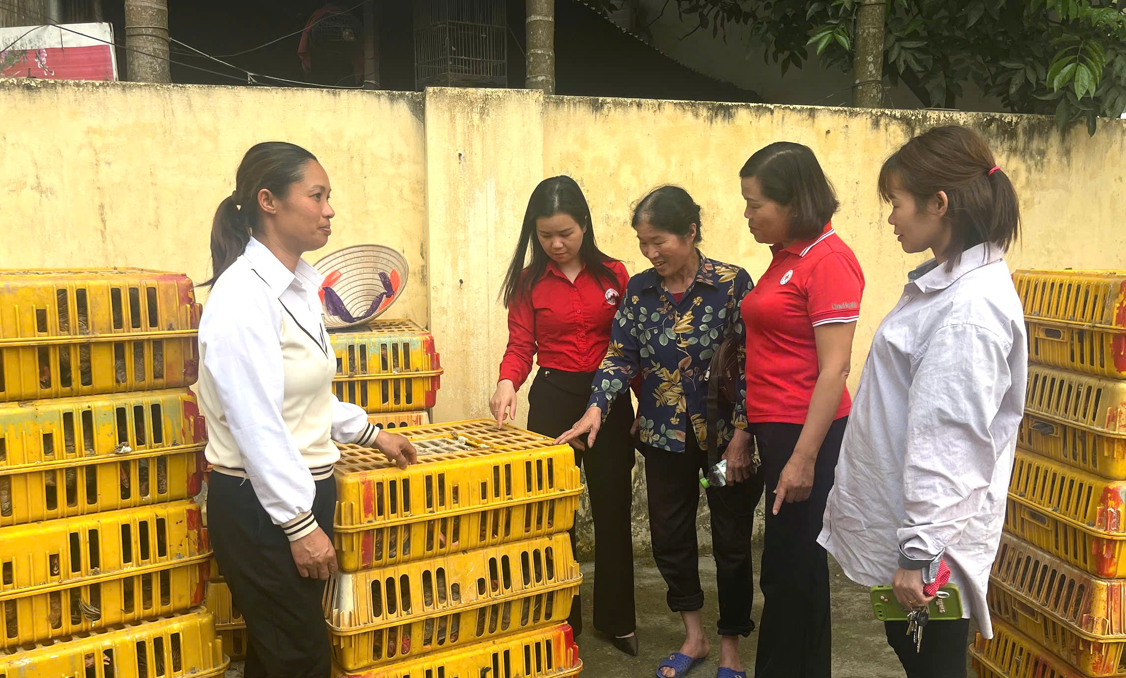 HỘI CHỮ THẬP ĐỎ VIỆT NAM