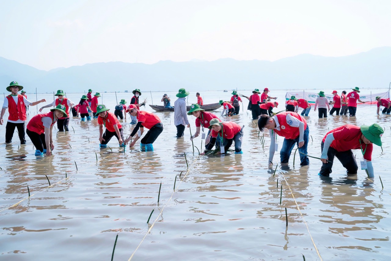 HỘI CHỮ THẬP ĐỎ VIỆT NAM